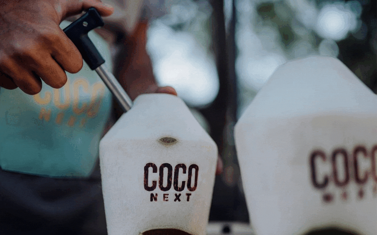 branemic-coconext