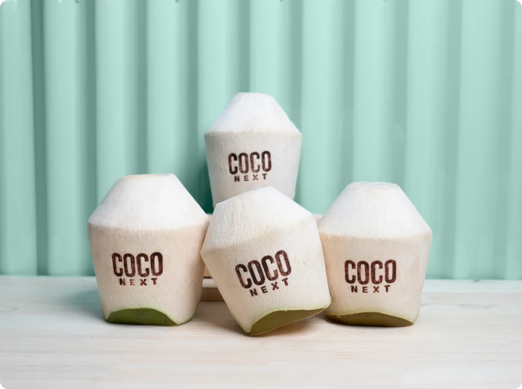 coconext-brandemic-3