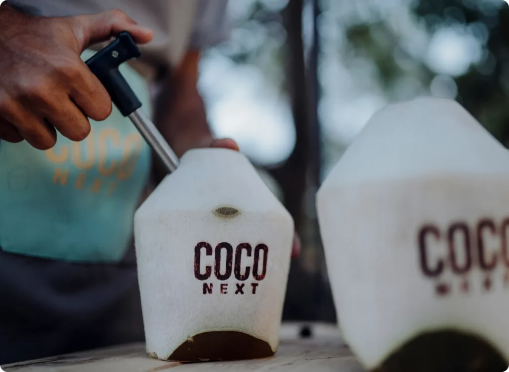 coconext-brandemic-4