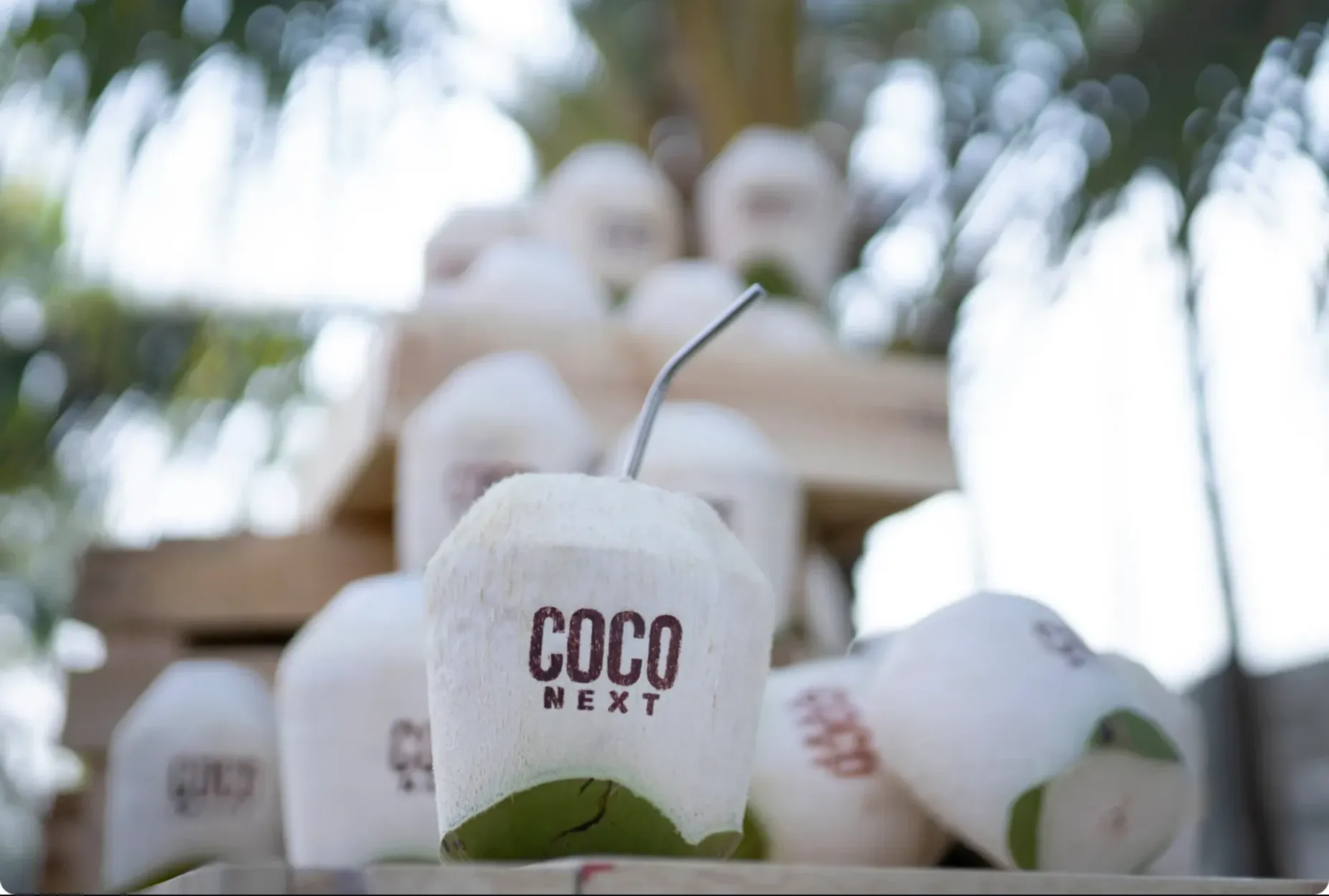 coco next qw