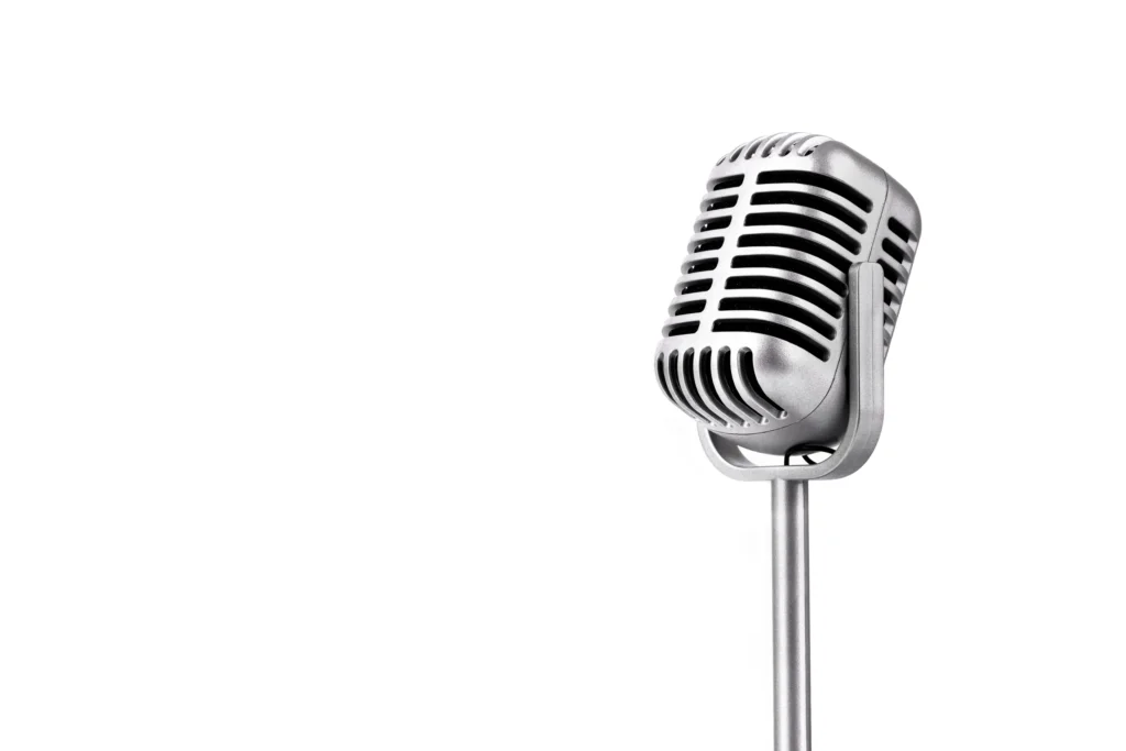 Essential Equipment For Professional Videography-microphone-Brandemic