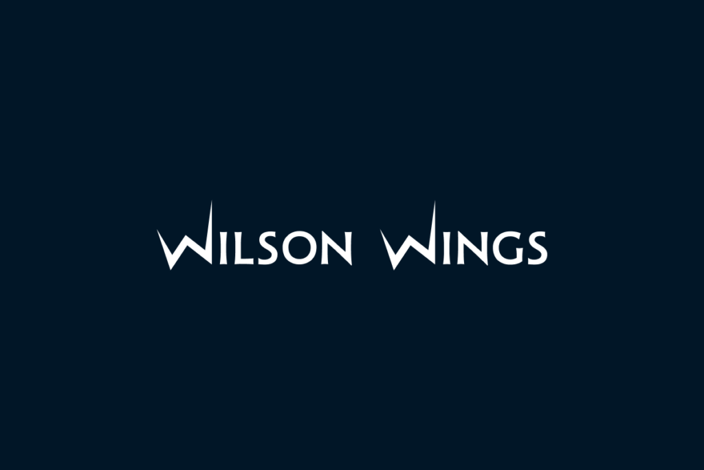 wilson-wings-Best-branding-agency-Bangalore-India