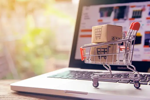 Building-your-E-Commerce-Website-Brandemic